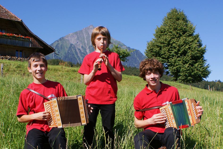CD Cover Folklore-Vollträffer